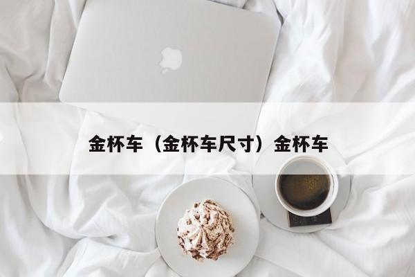 金杯车（金杯车尺寸）金杯车
