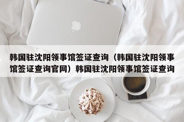 韩国驻沈阳领事馆签证查询（韩国驻沈阳领事馆签证查询官网）韩国驻沈阳领事馆签证查询