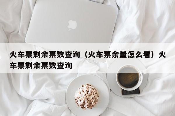 火车票剩余票数查询（火车票余量怎么看）火车票剩余票数查询