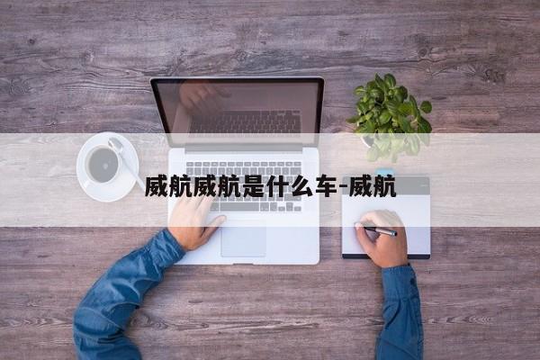 威航威航是什么车-威航