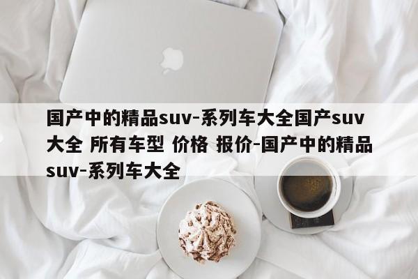 国产中的精品suv-系列车大全国产suv大全 所有车型 价格 报价-国产中的精品suv-系列车大全