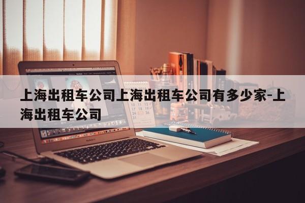 上海出租车公司上海出租车公司有多少家-上海出租车公司