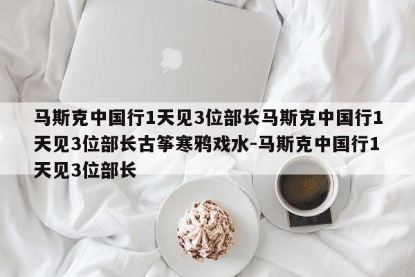 马斯克中国行1天见3位部长马斯克中国行1天见3位部长古筝寒鸦戏水-马斯克中国行1天见3位部长