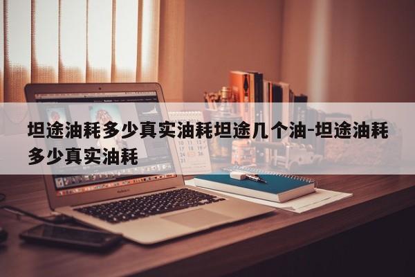坦途油耗多少真实油耗坦途几个油-坦途油耗多少真实油耗