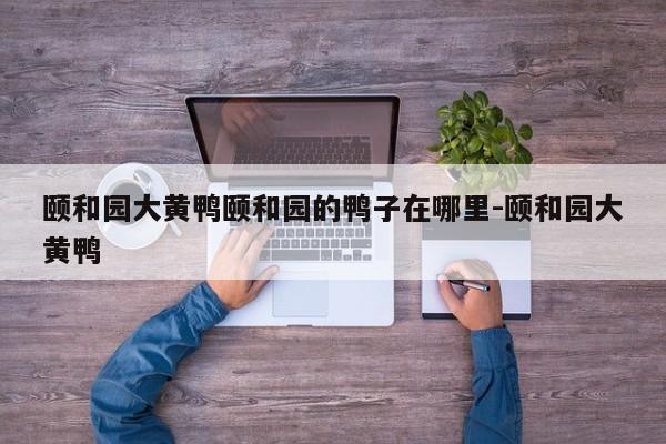 颐和园大黄鸭颐和园的鸭子在哪里-颐和园大黄鸭