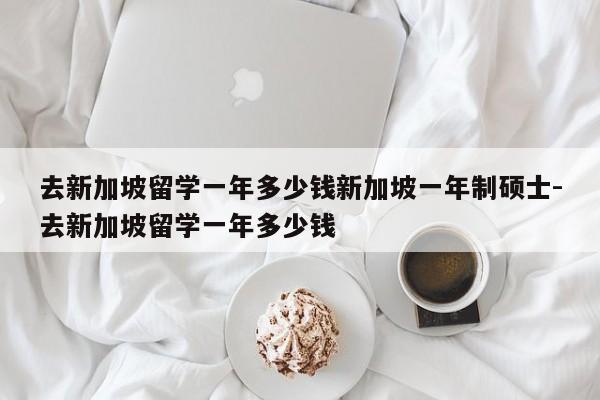 去新加坡留学一年多少钱新加坡一年制硕士-去新加坡留学一年多少钱