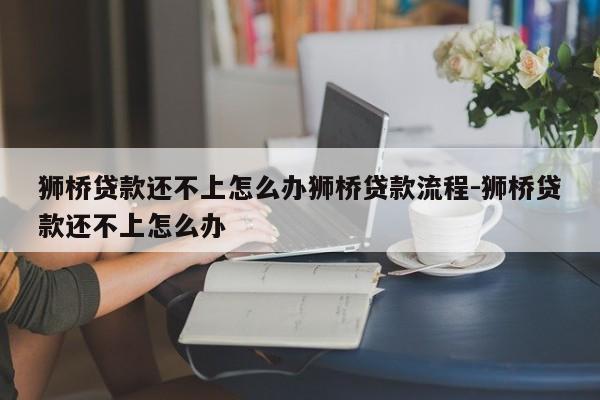 狮桥贷款还不上怎么办狮桥贷款流程-狮桥贷款还不上怎么办