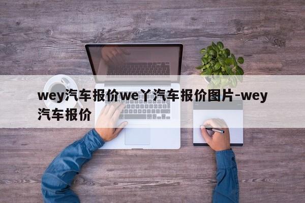 wey汽车报价we丫汽车报价图片-wey汽车报价