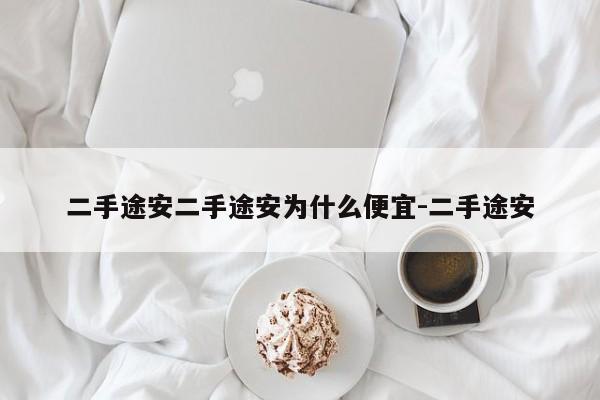 二手途安二手途安为什么便宜-二手途安