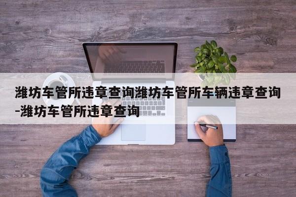 潍坊车管所违章查询潍坊车管所车辆违章查询-潍坊车管所违章查询