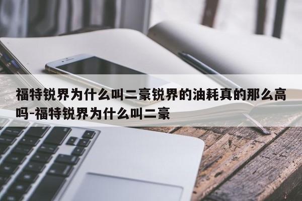 福特锐界为什么叫二豪锐界的油耗真的那么高吗-福特锐界为什么叫二豪
