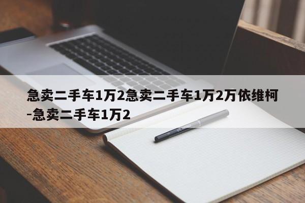 急卖二手车1万2急卖二手车1万2万依维柯-急卖二手车1万2
