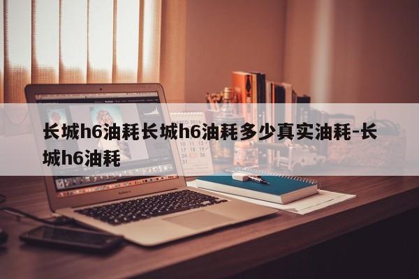 长城h6油耗长城h6油耗多少真实油耗-长城h6油耗
