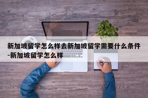 新加坡留学怎么样去新加坡留学需要什么条件-新加坡留学怎么样