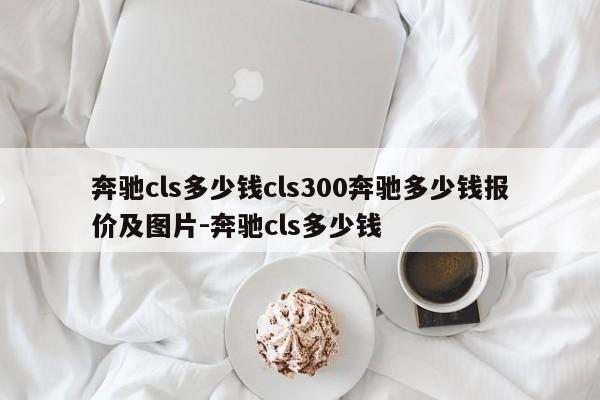 奔驰cls多少钱cls300奔驰多少钱报价及图片-奔驰cls多少钱
