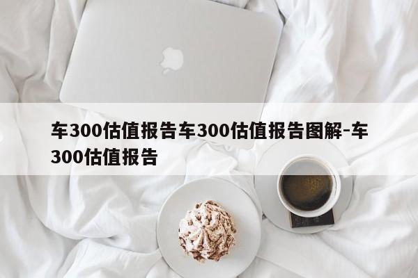 车300估值报告车300估值报告图解-车300估值报告